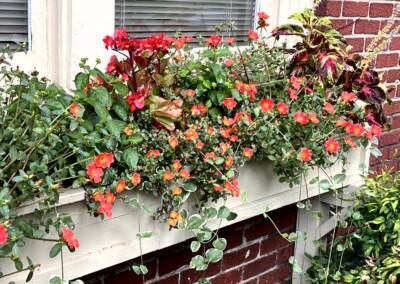 custom flower box choose your own size