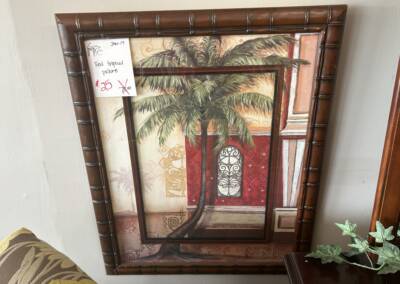 JAN-17 $25 Red tropical picture