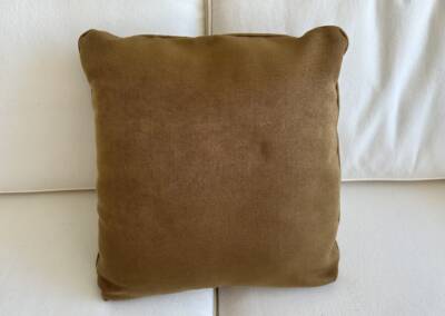 EGF Pillow