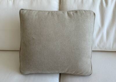 EGF Pillow