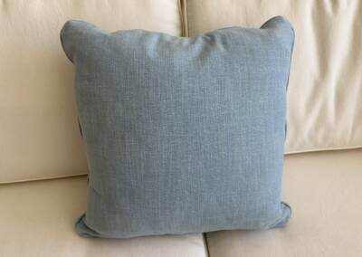 EGF blue pillow