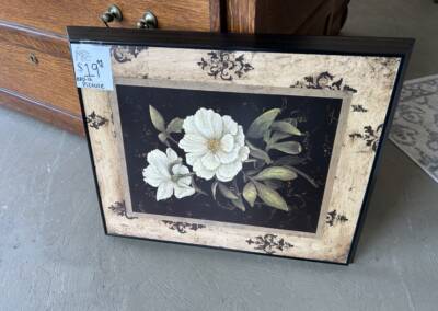 Picture $19.99
